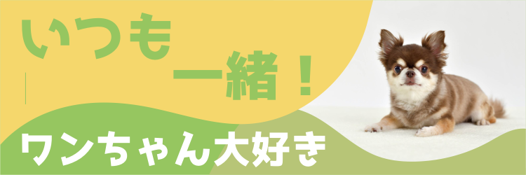 カワイイがいっぱい！ワンダーランド